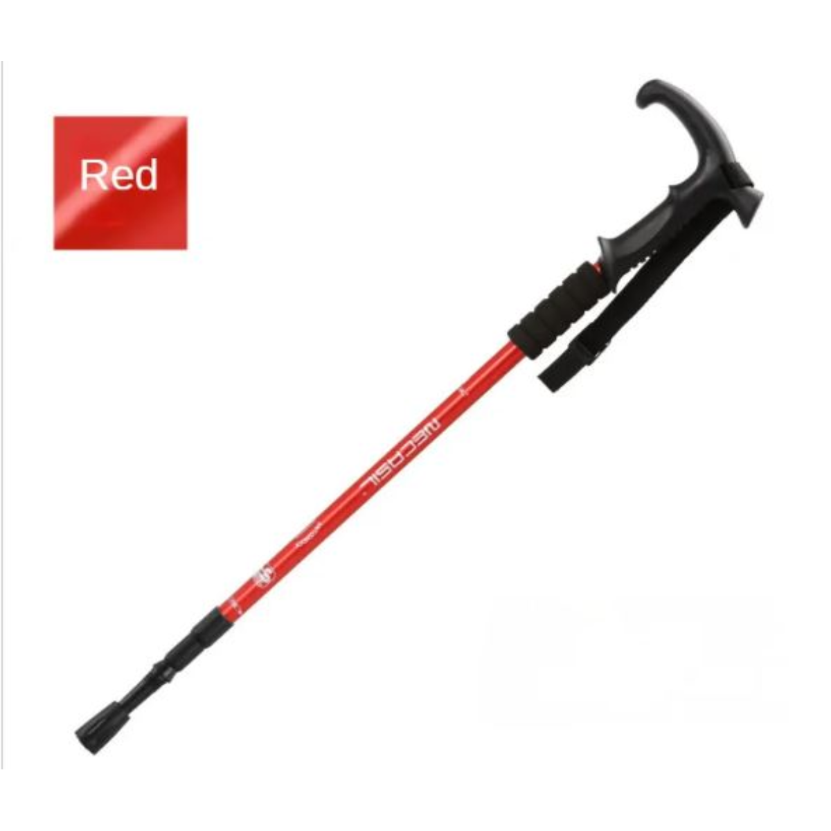 Adventure Hiking Stick