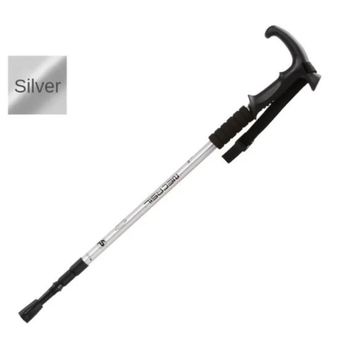 Adventure Hiking Stick