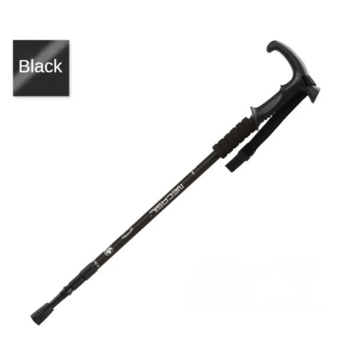 Adventure Hiking Stick