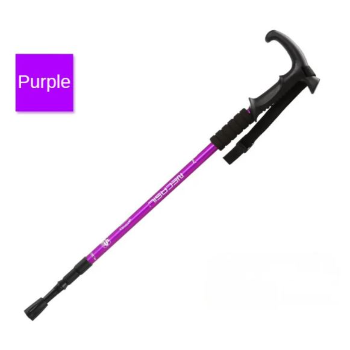Adventure Hiking Stick